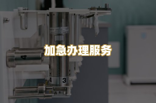 加急办理服务